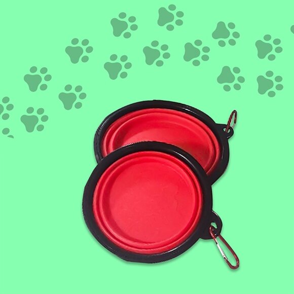 2-in-1 Collapsible Feeding Bowl - Picture 8 of 16